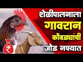 शेळीपालनाला गावरान कोंबड्यांची जोड | Shelipalan | नफा पाहून तुम्हालाही नवल वाटेल | Maze Ran Shivar