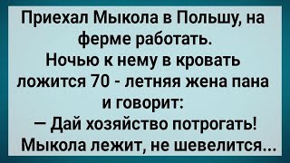 видео: Как Мыкола в Польше с Женой Пана Спал! Сборник Свежих Анекдотов! Юмор!. картинка: Как Мыкола в Польше с Женой Пана Спал! Сборник Свежих Анекдотов! Юмор!.