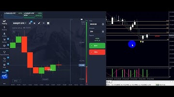 98% Binary Strong Signal Indicator: Your Trading Success!