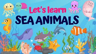 Let's Learn Sea Animals | Pre School Learning | #oceananimals  #vocabulary