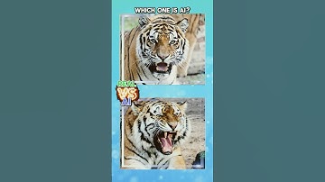 Which is AI Generated? (AI Quiz) #aivsreality #aiquiz