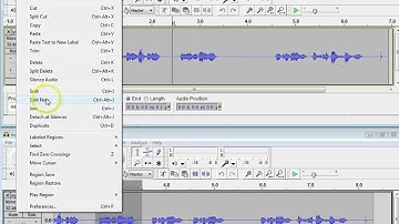Digital Media - Assignment 5 video - Audacity Interview