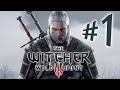 The Witcher 3 Wild Hunt - Parte 1: Geralt de Rivia [ Playstation 4 - Playthrough PT-BR ]