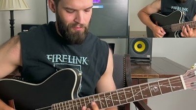 Polyphia - GOOSE | TOD10N Nylon Cover (Tim and Scott parts)