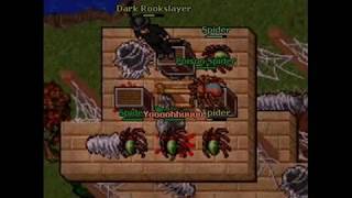 Tibia life of Dark Rookslayer in Rookgaard (Part 1)