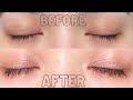 How to grow longer lashes  simplyshellaby