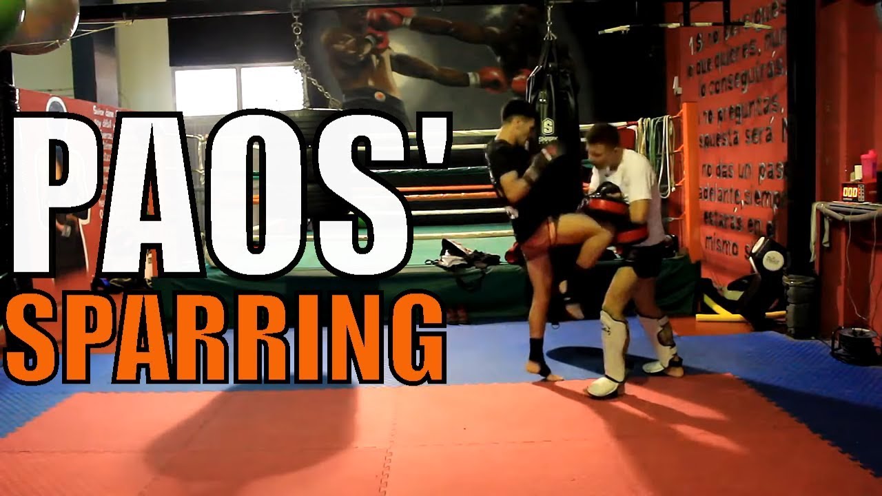 Como PREPARAR una PELEA de Muay Thai l Entrenamiento de Paos-Sparring 