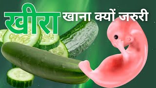 खीरा खाने के फायदे प्रेगनेंसी में, cucumber in pregnancy in Hindi