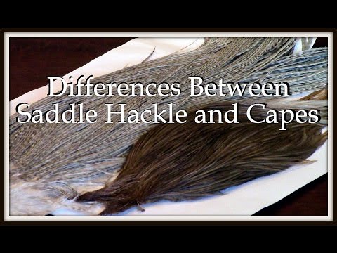 Introduction to feathers for fly tyers – Fly Fishing Science