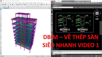 Vẽ thép sàn siêu nhanh video 1 | DBIM
