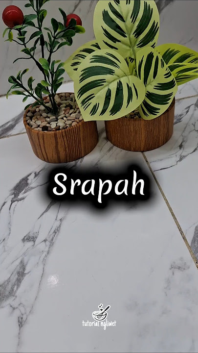 Wanting to make a srapah compote instead turns out to be like this