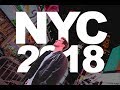 NYC 2018 | Hyperlapse | Cade Solomon