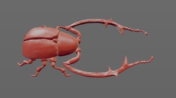 Shortutorials -  Insect bug - Blender, Zbrush, Substance Painter - part 1