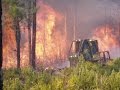 Florida Forest Service: Wildfire/Prescribed Fire