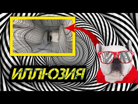 Video: Камилла Аллендин куурчактары