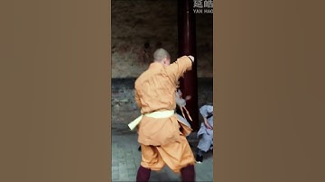 Unstoppable Martial Master—Every Move Shakes the World!#yanhao #shaolinkungfu #ufc #brucelee