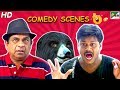 Izzat Ke Khatir - Back To Back Comedy Scenes | Raashi Khanna, Sundeep Kishan
