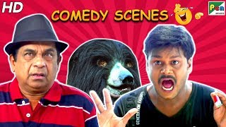 Izzat Ke Khatir - Back To Back Comedy Scenes | Raashi Khanna, Sundeep Kishan