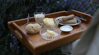 Vegan Alternatives For Every Animal Product! - Cheese, milk, butter, egg, meat...