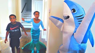 Shark vs Mermaid Shasha and Shiloh - Onyx Kids