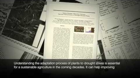 Latent Dirichlet Allocation Uncovers Spectral Characteristics of Drought Stressed Plants