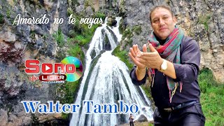 WALTER TAMBO JARA_AMORCITO NO TE VAYAS_Official Youtube