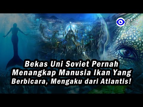 Video: Bagaimana Ilmuwan Soviet Menangkap Bigfoot - Pandangan Alternatif