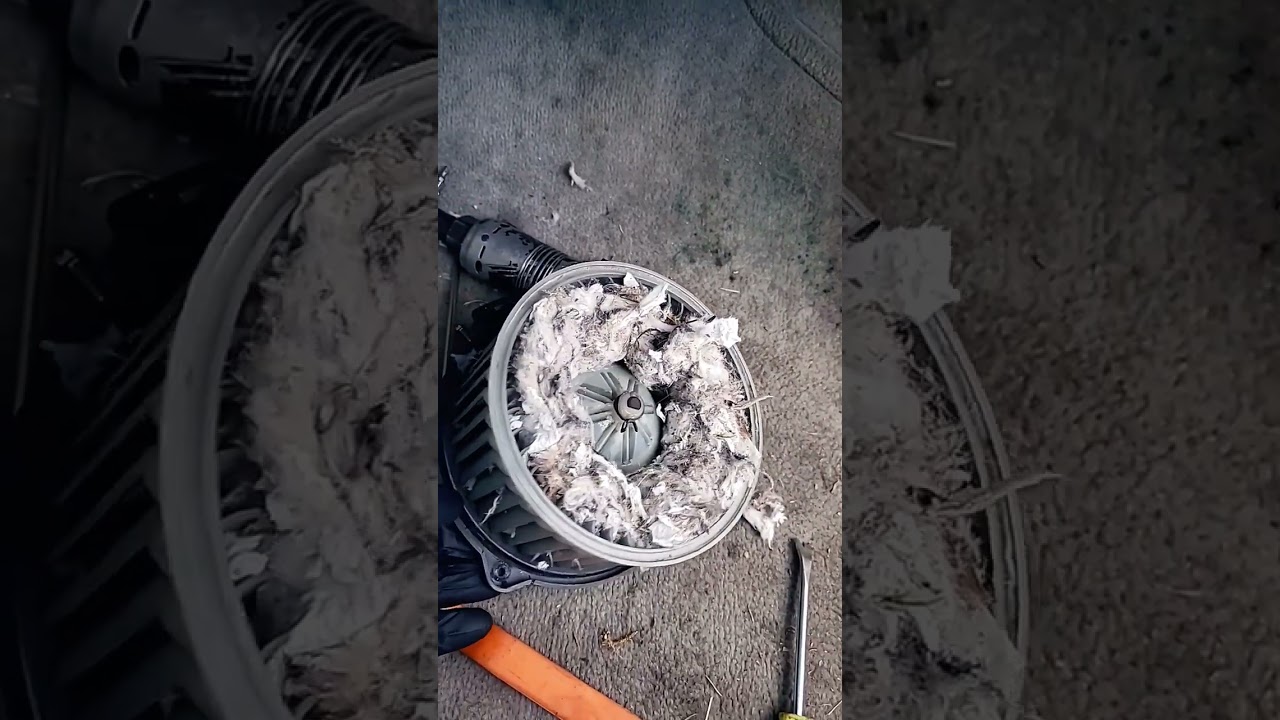 Customer States Foul Smell coming from Vents YouTube