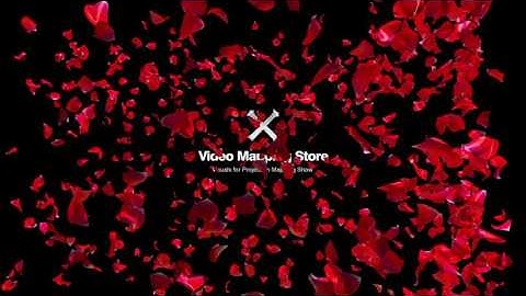 Falling Petals - Video Mapping Elements Pack Vol.2