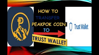 How to transfer Peakpok Coin to Trust Wallet screenshot 4