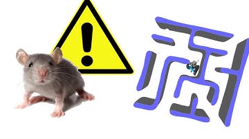 Algoritmo para resolver laberintos [MOUSE IN A MAZE] implementado graficamente en processing |0|