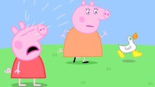 Where are Peppa Pig's Golden Boots? | Peppa Pig Official Family Kids Cartoon