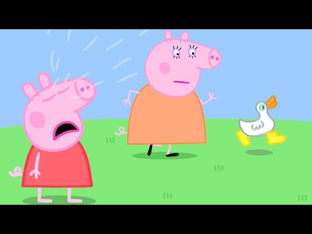 Where are Peppa Pig's Golden Boots? | Peppa Pig Official Family Kids  Cartoon - YouTube