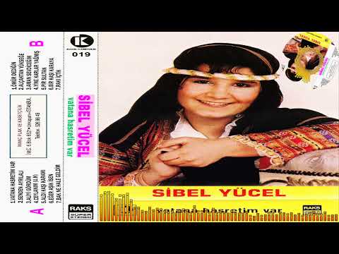 Sibel Yücel -  Aliyi Gördüm