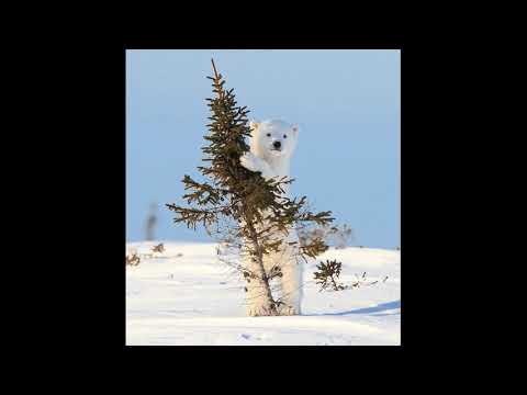 Həddini aşdı şirin duyğular (super music) Azeri