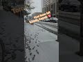 First Snow ❄️ fall Toronto Canada 🇨🇦 #canada_life #lyrics #foryou #foryoupage #bangladesh #snow