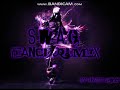 S.W.A.G Dance Remix 2017/2018