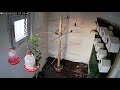 Karışık doğa kuşu salması (10 dk. IP Kamera)
