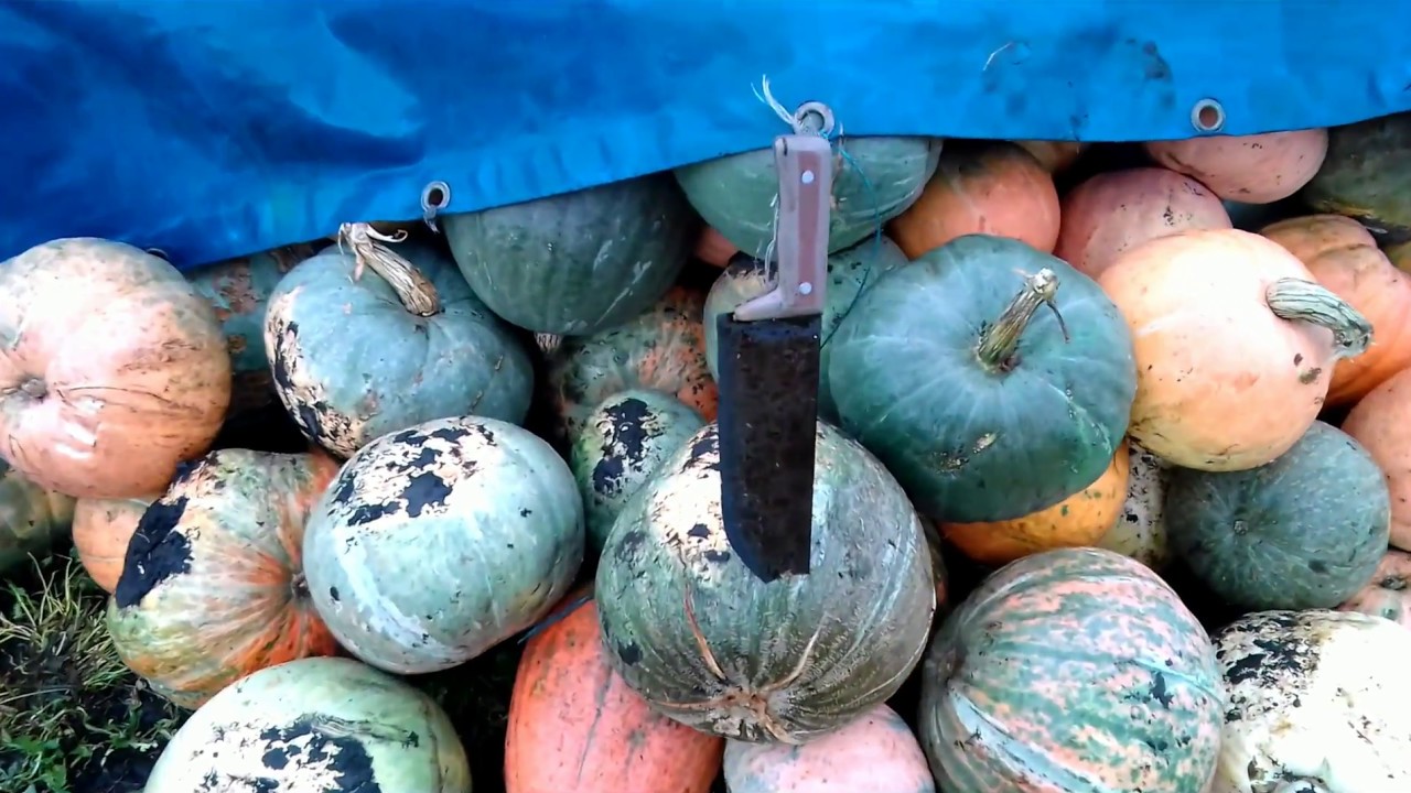 Самодельный нож для чистки (от кожуры) овощей и фруктов
