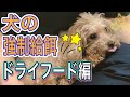 【食べない犬のごはんのあげ方】ドライフードの強制給餌のやり方。シリンジで・指で・あげる時のコツとご飯の作り方。