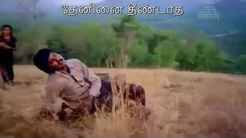 Ilayaraja song, man unai ninaikatha naal ellaye.