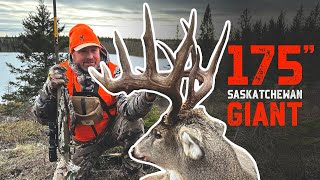 ALL DAY SITS for a Saskatchewan GIANT! - Big Woods Deer Hunting