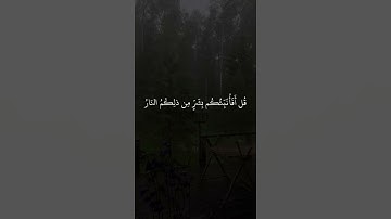 القارئ ياسر الدوسري|سورة الحج