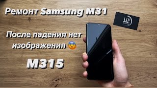 картинка: Ремонт Samsung m31 m315f, полный разбор телефона, замена дисплейного модуля СЦ “UPservice” Киев