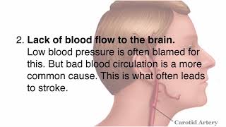 The Vertigo and Dizziness Program -Blue Heron Health News