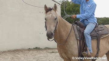 Snecom Blue - swinging the rope! - ValleyViewRanch.net