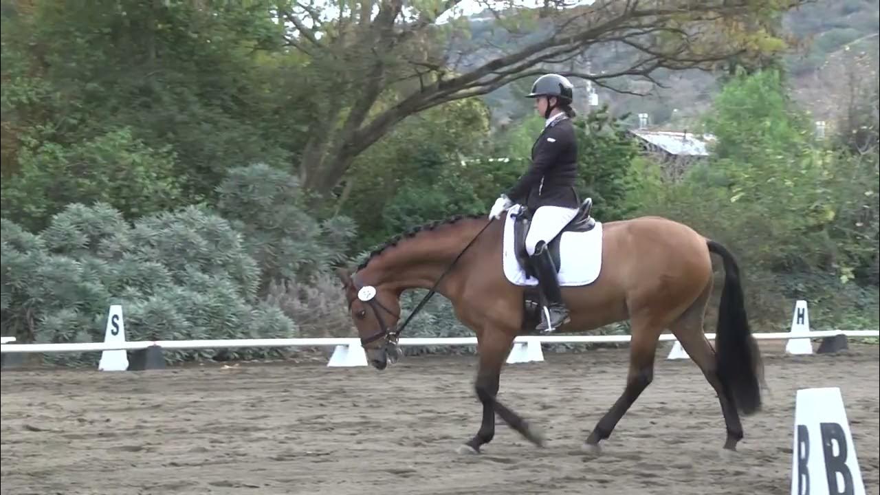 PALOMO SV MASHA UGRYUMOVA THIRD LEVEL TEST 3 NOV 2022 YouTube