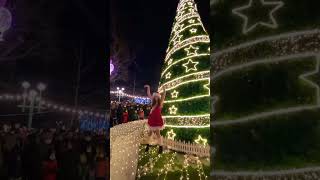 ნაძვის ხის ანთების ცერემონია / Christmas tree lighting ceremony 🎄 #fyp #christmas #tree #new #year