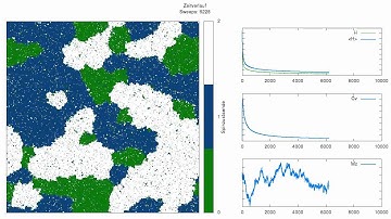 Potts-Model Simulation Q=3 - Detailed