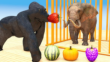 Con Tinh Tinh, Con Voi, Con Khỉ, Con  Bò  - Nhạc Thiếu Nhi Vui Nhộn - Giúp Bé Học Màu Và Các Con Vật